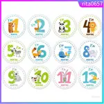 BABY MONTHLY STICKER BABY BELLY STICKERS MILESTONE MONTHLY A