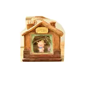 House Mini Pig Starry Novetly Light Cartoon Animal Lamps