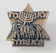 ISRAEL BADGE ZIONISM MENORAH DAVID STAR WE WILL NOT FORGET NOR FORGIVE HOLOCAUST