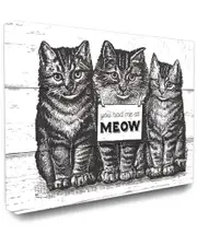 Stupell Industries You Had Me at Meow Cats
