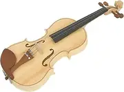 Daseeme 4/4 Violin Spruce Top Maple Craft Tiger Stripe Ebony Parts Handcrafted 4/4 Violin with Spruce Top for Beginners Professionals