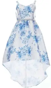 Rare Editions Big Girls Jewel Waist Floral Mikado Hi-Lo Fanciful Dress-16