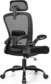 FelixKing Ergonomic Office Chair, Headrest Desk Chair Office Chair with Adjustable Lumbar Support, Home Office Swivel Task Chair with High Back and Armrest (Black)