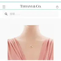 在飛比找蝦皮購物優惠-Tiffany 1837鎖環圓圈墜鍊 雙環 純銀 正品