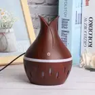 USB Portable Diffuser Air Mist Maker Desktop Colorful Light Humidifier SPG
