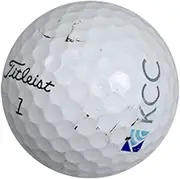 LostGolfBalls Titleist Pro V1 2016 AAA Titleist Pro V1 2016 AAA