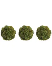Creative Displays Set of 3 Decorative Green Sedum Balls