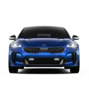Xenon Halogen Fog Lights Lamps for 2015 2016 2017 Kia Carnival