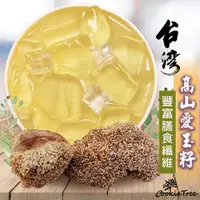 在飛比找蝦皮購物優惠-愛玉子 愛玉籽 DIY手作愛玉 洗愛玉 檸檬愛玉 天然愛玉凍