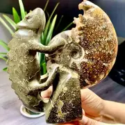 1.95LB Rare! Natural Tentacle Ammonite FossilSpecimen Shell Healing Madagascar