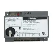 Pentair 471091 DSI Control Replacement MiniMax 75/100 Pool or Spa Heater