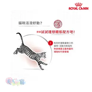 【法國皇家Royal Canin】理想體重三圍成貓專用乾糧 F32 10KG/15KG 毛貓寵