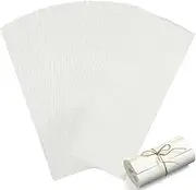 Lincia 200 Pcs Tray Mats Set Freeze Dryer Trays Parchment One Off Paper Precut Food Service Accessories Compatible with Harvest Right Freeze Dryer Trays, White(Large)