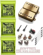 EMG MF Marty Friedman Passive Brushed Gold Set Short Shaft Pots ( 3 ERNIE BALL)