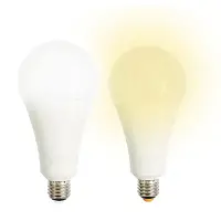 在飛比找Yahoo!奇摩拍賣優惠-【寶島之光】20W超節能LED燈泡E27白光/黃光(全電壓1