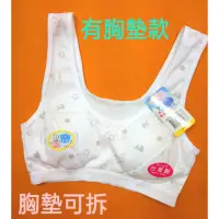 在飛比找蝦皮購物優惠-福井家儷 台灣製造 成長型內衣 少女胸衣 胸墊可拆 襯衣 無