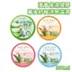 ALOE VERA 韓國 蘆薈保濕凝凍 300ml 維他命 玻尿酸 玫瑰 ISLEAF 小黃瓜 絲瓜