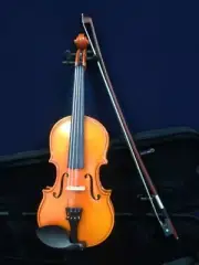 Handmade Kapok V888 Premium Solid Wood Violin Pack-Foam Case,Rosin,Bow, 1/4 Siz