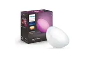 Philips Hue Go Bluetooth Light