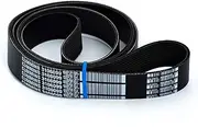 12V Belt 3106099 for Cummins ISX15 QSX15 Engine
