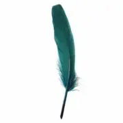 Goose Pointer Feathers 10 grams - Teal