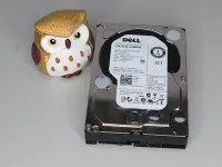 在飛比找露天拍賣優惠-Dell 0202V7 4TB 7.2K SAS 3.5 L