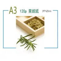 在飛比找蝦皮購物優惠-120磅 萊妮紙 A3-100張