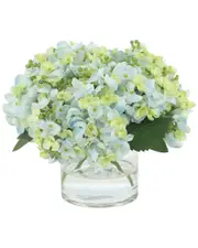 Creative Displays Hydrangeas Arranged in Glass Vase