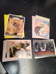 Set Of 4 Vintage Cat Greeting Cards