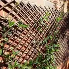 Willow Telescopic Decorative Fence Lattice Plant Support Garden Trellis
