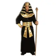 Rubies Pharaoh Costume Dress Party Kids Cosplay/Halloween Outfit Size Standard