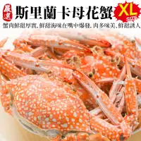 在飛比找PChome24h購物優惠-【滿777免運-海肉管家】斯里蘭卡XL母花蟹(2隻_200-