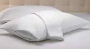 Set of 2 Pillow Protector Prevent Collection of Dust & Mites 20X36 -