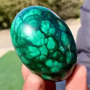 253G Natural glossy Malachite egg transparent cluster crystal mineral sample