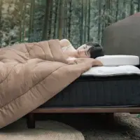 在飛比找momo購物網優惠-【LoveFu】月眠枕基本款 + 森呼吸永衡被-秋栗棕x雙人