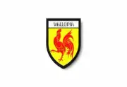 PATCH PATCHES EMBLEM IRON ON GLUE PRINT FLAG world crest wallonia belgium