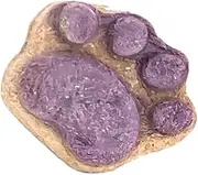 Paw Cat Treats - Natural Cat Paw Biscuits for Oral Cleaning | Healthy Dry Cat Snacks for Indoor Cats | Kitten Treats and Training Biscuits | Chewy Cat Food Treats for Kittens | Cat Snacks Treats