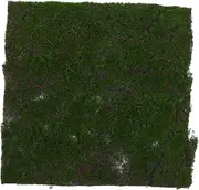Realistic Artificial Grass Turf Green Wall Decor for Outdoor Dog Grass Mat Easy Maintenance Patio Rug DIY Craft Scenery