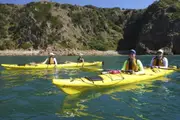 Phillip Island Kayak Tour - Phillip Island