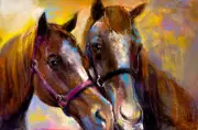 Horses Abstract romantic animal Love Painting Canvas Print wall art home decor