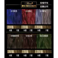 在飛比找蝦皮購物優惠-韓國FLORA公司正品貨專業用補色洗髮精