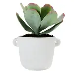 [James Lane] Flapjack Daylen Pot White & Green - 25cm x 25cm x 40cm