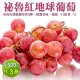 【果之蔬】秘魯紅地球葡萄(500g/盒)x3盒