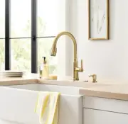 allen + roth Evanston Brushed Gold Single Handle Pull-down Kitchen Faucet