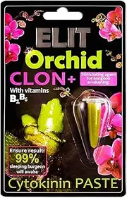 ELIT ORCHID CLON + Cytokinin Cloning paste Stimulating Agent For Sleeping Burgeon