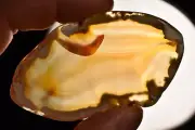 *AGATE* Slice 8cm 40g Polished Healing Crystal Worry Flat Palm
