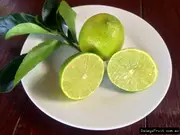 Dwarf Lime Tahitian Tree - Citrus latifolia