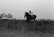 Ben Nevis 1980 Grand National Win 3 Horse Racing Old Photo