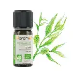 在飛比找遠傳friDay購物精選優惠-【Florame法恩】茶樹精油10ml