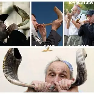 天然 以色列 公羊角號角 rams horn shofar小號 中號 大號